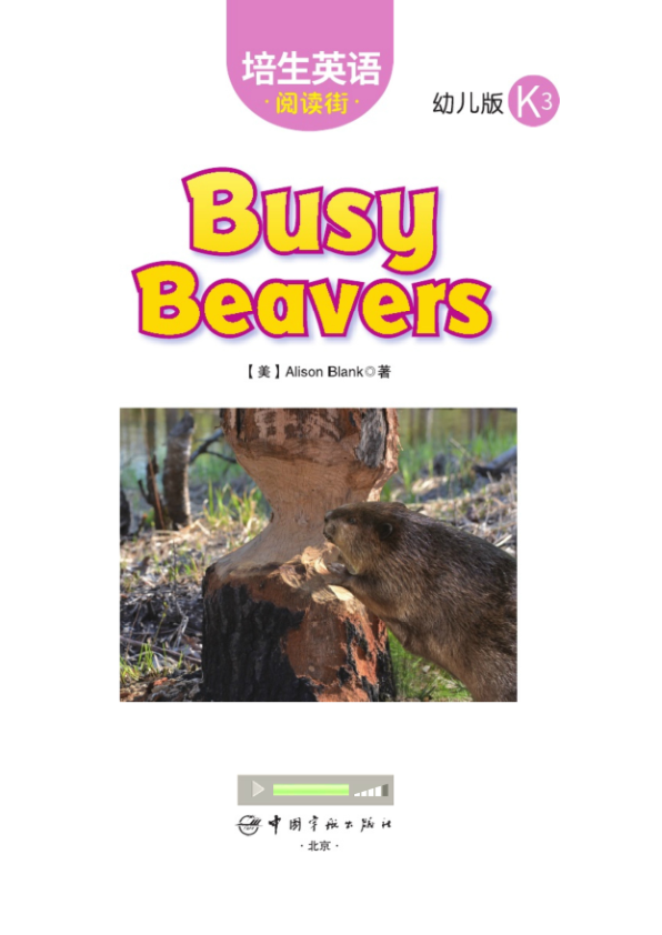 K3.33 Busy Beavers